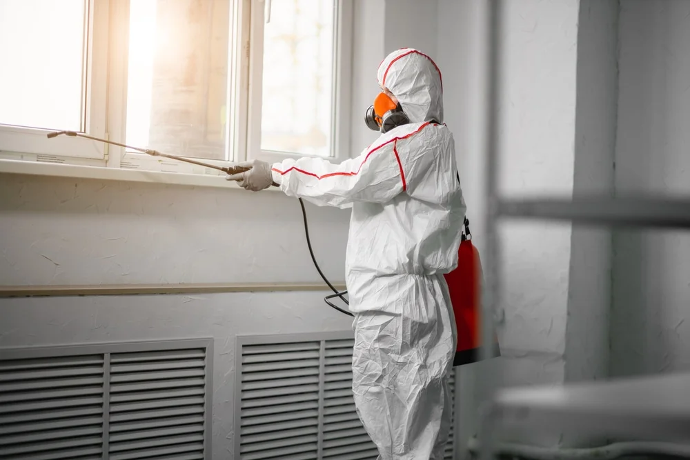 Professional mold remediation services in Burleson, TX